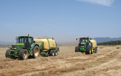 agricoltura-nils-2